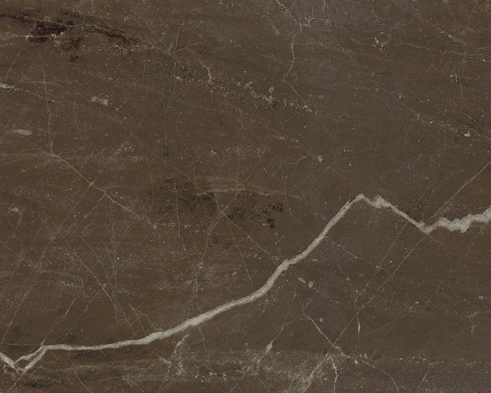Coffee Brown Marble